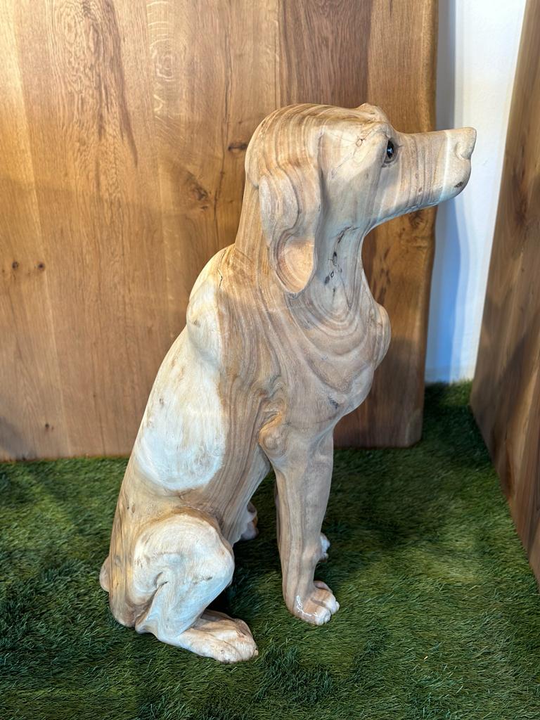 Hund
