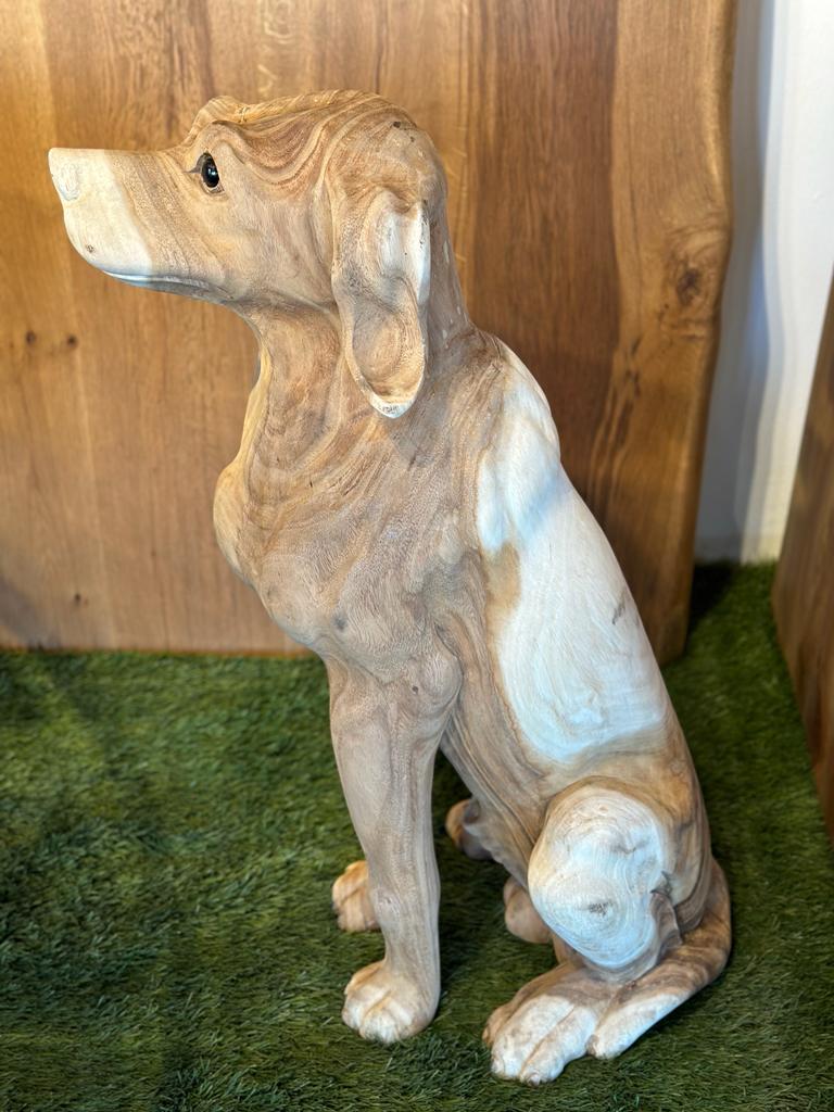 Hund