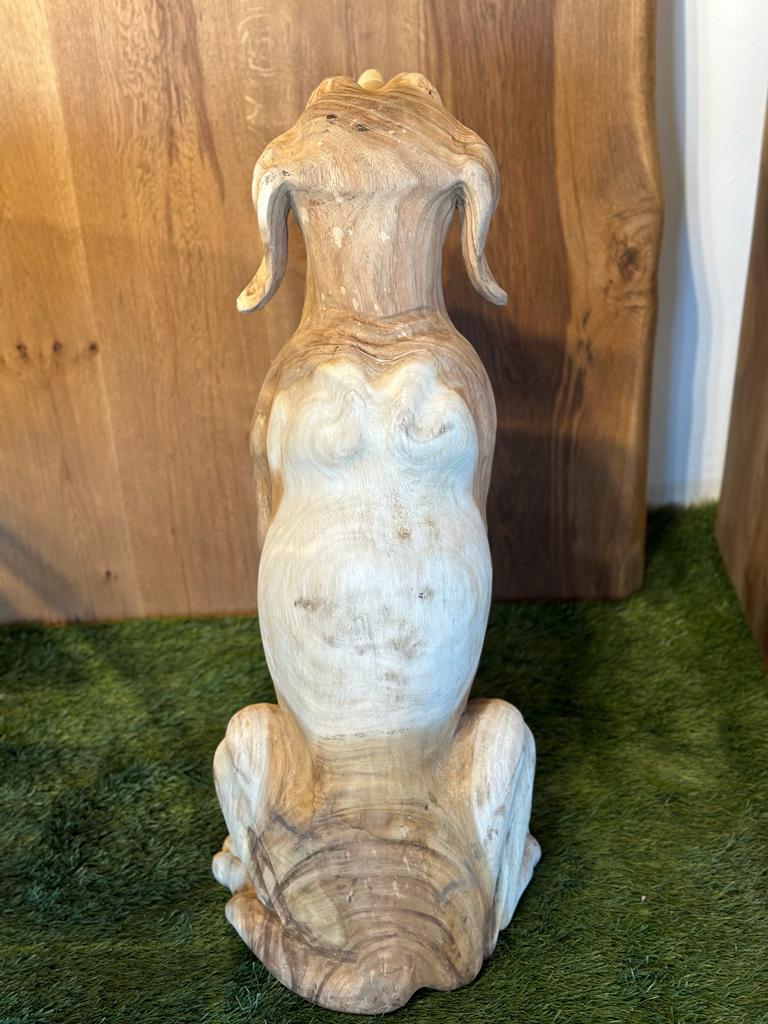 Hund