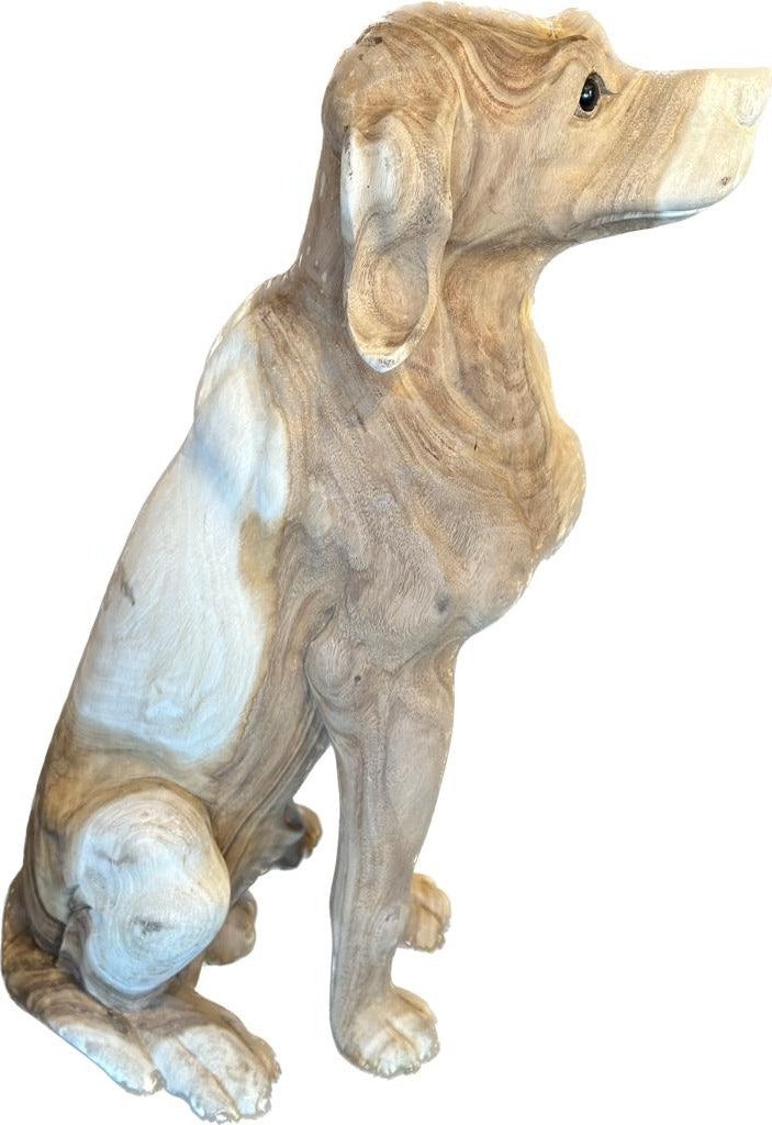 Hund
