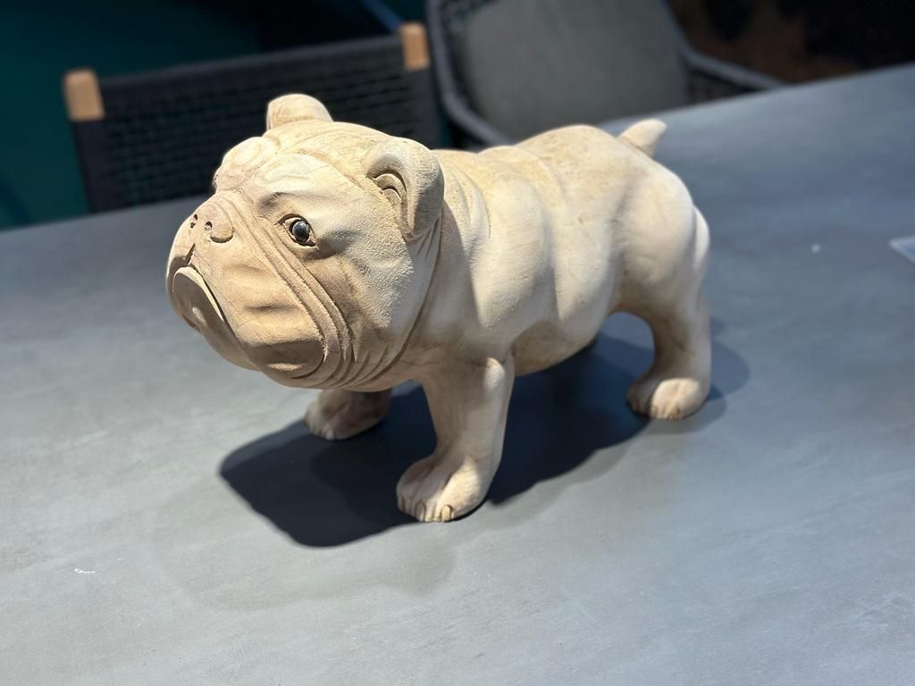 Bulldog